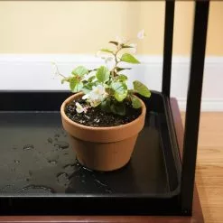 GSC Small Boot Tray -Plant Supports Shop 32709 1841 tif