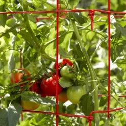 GSC Tomato Cages, Set Of 4 -Plant Supports Shop 34182 592 1
