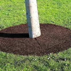 GSC Tree Ring, 36" -Plant Supports Shop 34441 06 tif 1