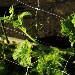 GSC Monofilament Trellis Netting
