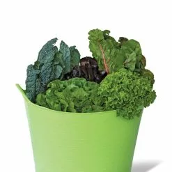 GSC Colorful Tubtrug, 11 Gallon -Plant Supports Shop 35 592 0190 tif