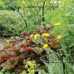 GSC Essex Plant Supports -Plant Supports Shop 37423 280 tif