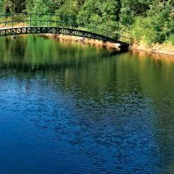 GSC Aquasphere Pond Cleaners -Plant Supports Shop 37425 001ed 1