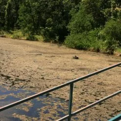 GSC Blast, 2,500 Gallon, 5 Packets 9 GSC Blast, 2,500 Gallon, 5 Packets -Plant Supports Shop 37425 001v 1