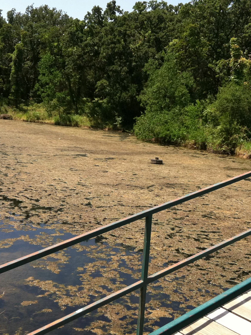 GSC Blast, 2,500 Gallon, 5 Packets 5 GSC Blast, 2,500 Gallon, 5 Packets - Image 3