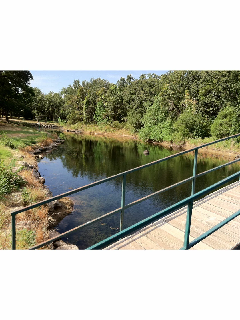 GSC Blast, 2,500 Gallon, 5 Packets 4 GSC Blast, 2,500 Gallon, 5 Packets - Image 2