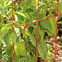 GSC Pepper And Eggplant Cages, Set Of 3 -Plant Supports Shop 37464 567 tif