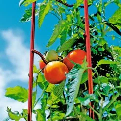 GSC Tomato Ladders, Set Of 3 -Plant Supports Shop 38185 003E tif