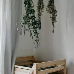 GSC Orchard Rack, 9 Drawer -Plant Supports Shop 38524 01IN tif