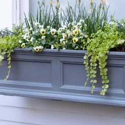 GSC Fairfield Self-Watering Window Box, 3’ -Plant Supports Shop 39 344 9360 tif