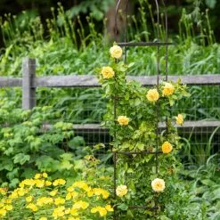 GSC Jardin Round Obelisk, 7' -Plant Supports Shop 39 530 1668 tif