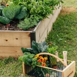 GSC Garden Hods -Plant Supports Shop 39 761 572 tif