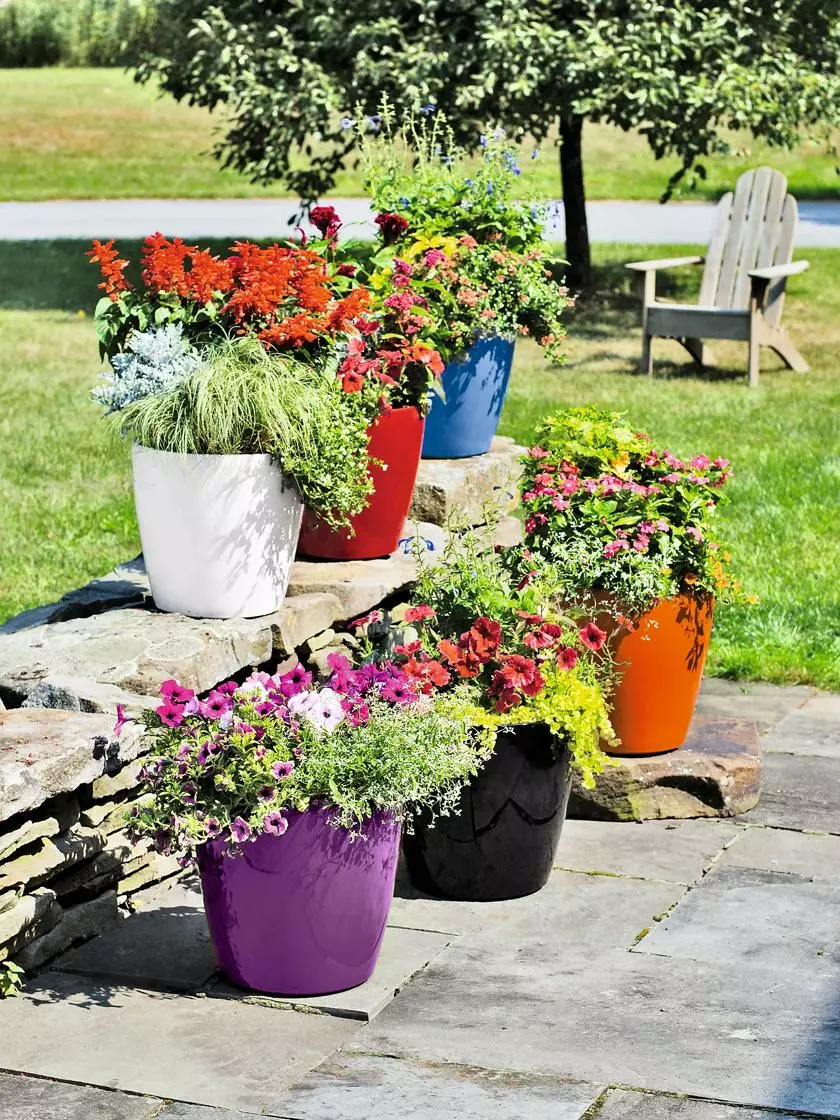 GSC Viva Round Self-Watering Rolling Planter, 14" Diameter 3 GSC Viva Round Self-Watering Rolling Planter, 14" Diameter