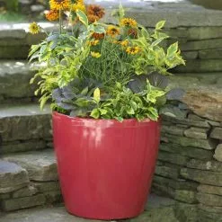 GSC Viva Round Self-Watering Rolling Planter, 17.25” Diameter -Plant Supports Shop 39326 046 tif