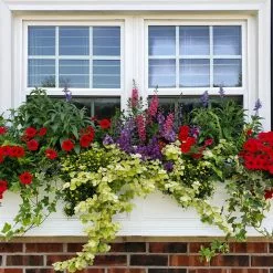 GSC Fairfield Self-Watering Window Box, 4’ -Plant Supports Shop 39345 106V tif