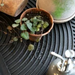 GSC Rubber Boot Tray 10 GSC Rubber Boot Tray -Plant Supports Shop 3 4 crop 8611722 5896