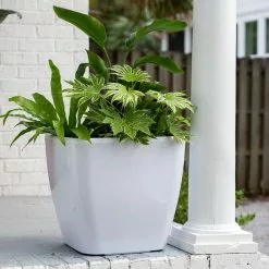 GSC Viva Square Self-Watering Rolling Planter, 20" Diameter, Set Of 2 19 GSC Viva Square Self-Watering Rolling Planter, 20" Diameter, Set Of 2 -Plant Supports Shop 3 4 crop 8612930 0033 tif