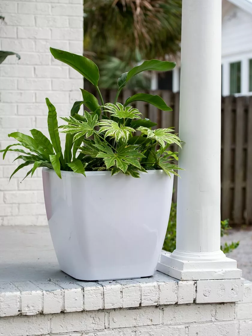 GSC Viva Square Self-Watering Rolling Planter, 20" Diameter, Set Of 2 7 GSC Viva Square Self-Watering Rolling Planter, 20" Diameter, Set Of 2 - Image 5