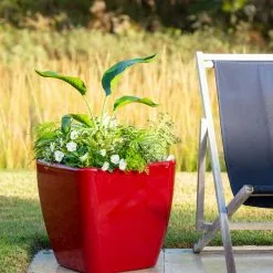 GSC Viva Square Self-Watering Rolling Planter, 20" Diameter, Set Of 2 17 GSC Viva Square Self-Watering Rolling Planter, 20" Diameter, Set Of 2 -Plant Supports Shop 3 4 crop 8612930 0035 tif