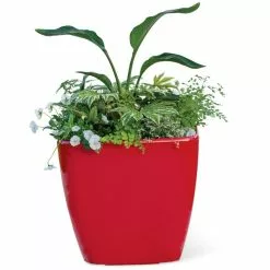 GSC Viva Square Self-Watering Rolling Planter, 20" Diameter, Set Of 2 20 GSC Viva Square Self-Watering Rolling Planter, 20" Diameter, Set Of 2 -Plant Supports Shop 3 4 crop 8612930 0037 tif