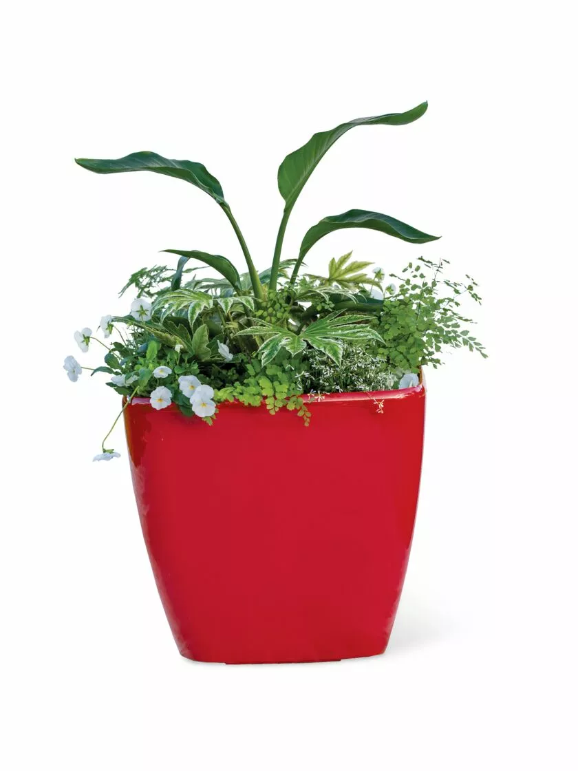 GSC Viva Square Self-Watering Rolling Planter, 20" Diameter, Set Of 2 8 GSC Viva Square Self-Watering Rolling Planter, 20" Diameter, Set Of 2 - Image 6