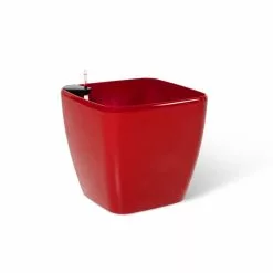GSC Viva Square Self-Watering Rolling Planter, 20" Diameter, Set Of 2 27 GSC Viva Square Self-Watering Rolling Planter, 20" Diameter, Set Of 2 -Plant Supports Shop 3 4 crop 8612930 0105
