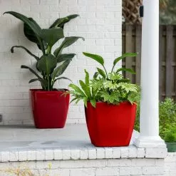 GSC Viva Square Self-Watering Rolling Planter, 20" Diameter, Set Of 2