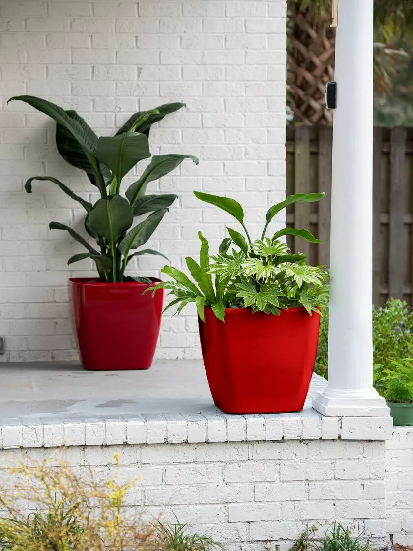 GSC Viva Square Self-Watering Rolling Planter, 20" Diameter, Set Of 2 3 GSC Viva Square Self-Watering Rolling Planter, 20" Diameter, Set Of 2