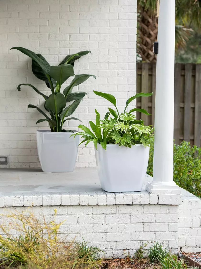 GSC Viva Square Self-Watering Rolling Planter, 20" Diameter, Set Of 2 4 GSC Viva Square Self-Watering Rolling Planter, 20" Diameter, Set Of 2 - Image 2