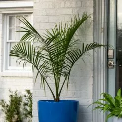 GSC Viva Round Self-Watering Rolling Planter, 20" Diameter, Set Of 2 -Plant Supports Shop 3 4 crop 8612933 0024 tif