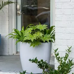 GSC Viva Round Self-Watering Rolling Planter, 20" Diameter, Set Of 2 -Plant Supports Shop 3 4 crop 8612933 0025 tif