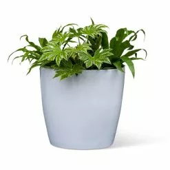 GSC Viva Round Self-Watering Rolling Planter, 20" Diameter, Set Of 2 -Plant Supports Shop 3 4 crop 8612933 0026 tif