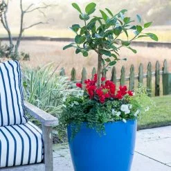 GSC Viva Round Self-Watering Rolling Planter, 20" Diameter, Set Of 2 -Plant Supports Shop 3 4 crop 8612933 5312 tif