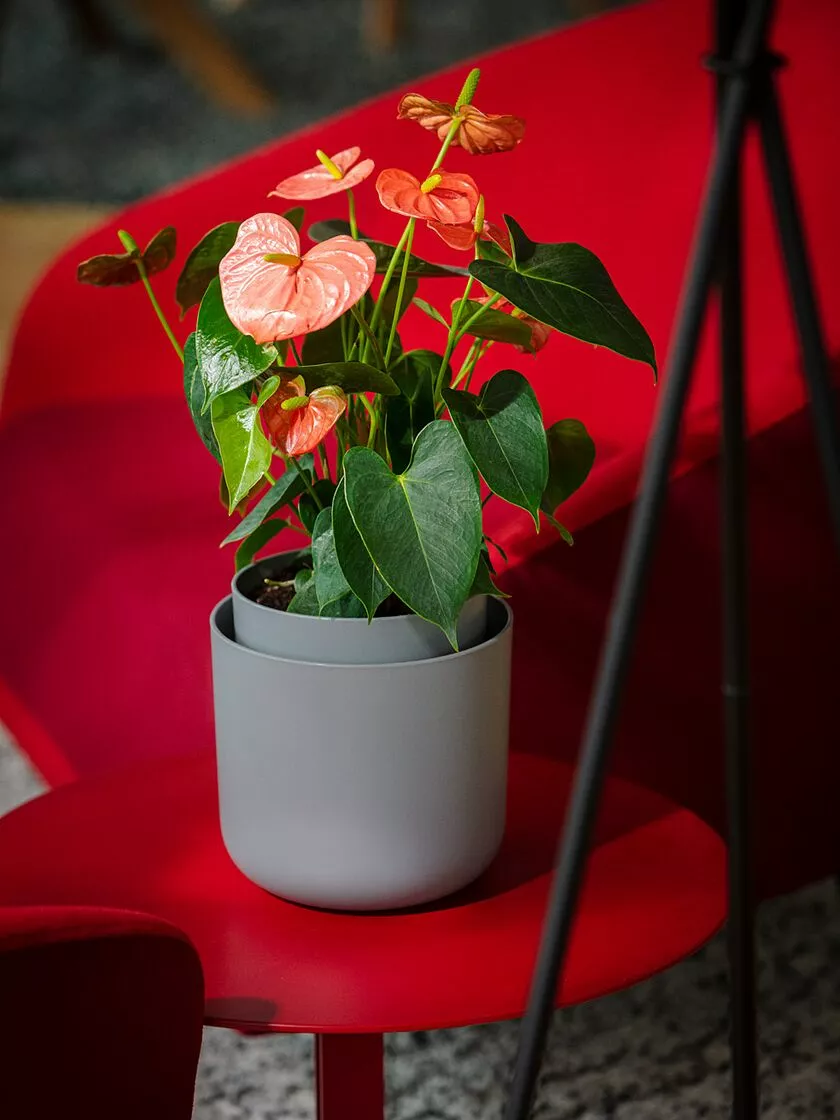 GSC Tolita Recycled Self-Watering Flower Pot, 8" Diameter 3 GSC Tolita Recycled Self-Watering Flower Pot, 8" Diameter