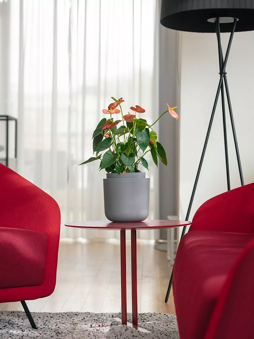 GSC Tolita Recycled Self-Watering Flower Pot, 8" Diameter 4 GSC Tolita Recycled Self-Watering Flower Pot, 8" Diameter - Image 2