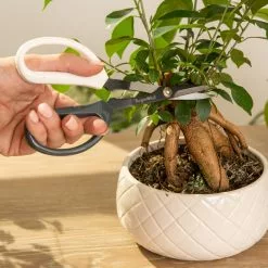 GSC Japanese Pruning Scisssors -Plant Supports Shop 3 4 crop 8612968 0087