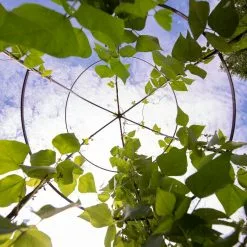 GSC Jardin Tower 12 GSC Jardin Tower -Plant Supports Shop 3 4 crop 8612997 0033