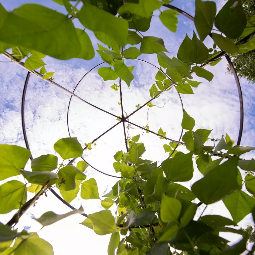 GSC Jardin Tower 7 GSC Jardin Tower - Image 5