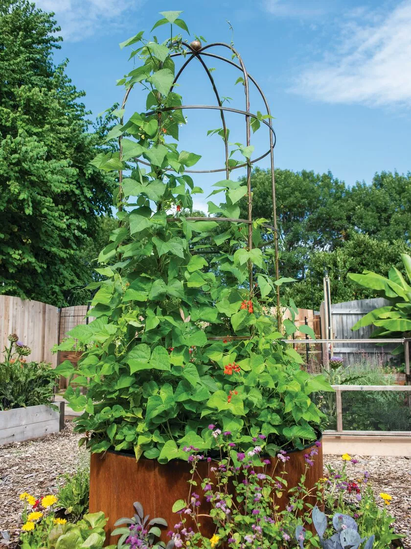 GSC Jardin Tower 4 GSC Jardin Tower - Image 2