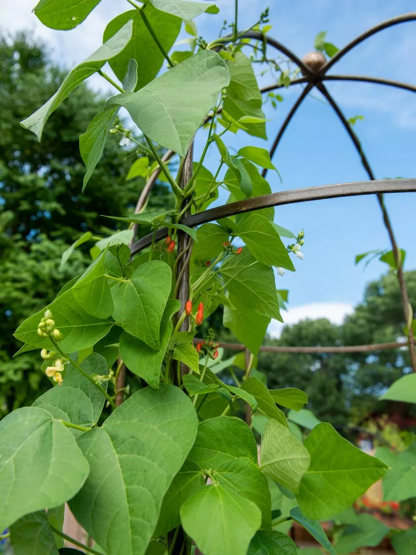 GSC Jardin Tower 5 GSC Jardin Tower - Image 3