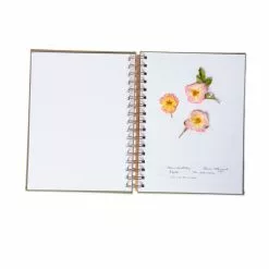 GSC Herbarium Journal 7 GSC Herbarium Journal -Plant Supports Shop 3 4 crop 8613227 2987