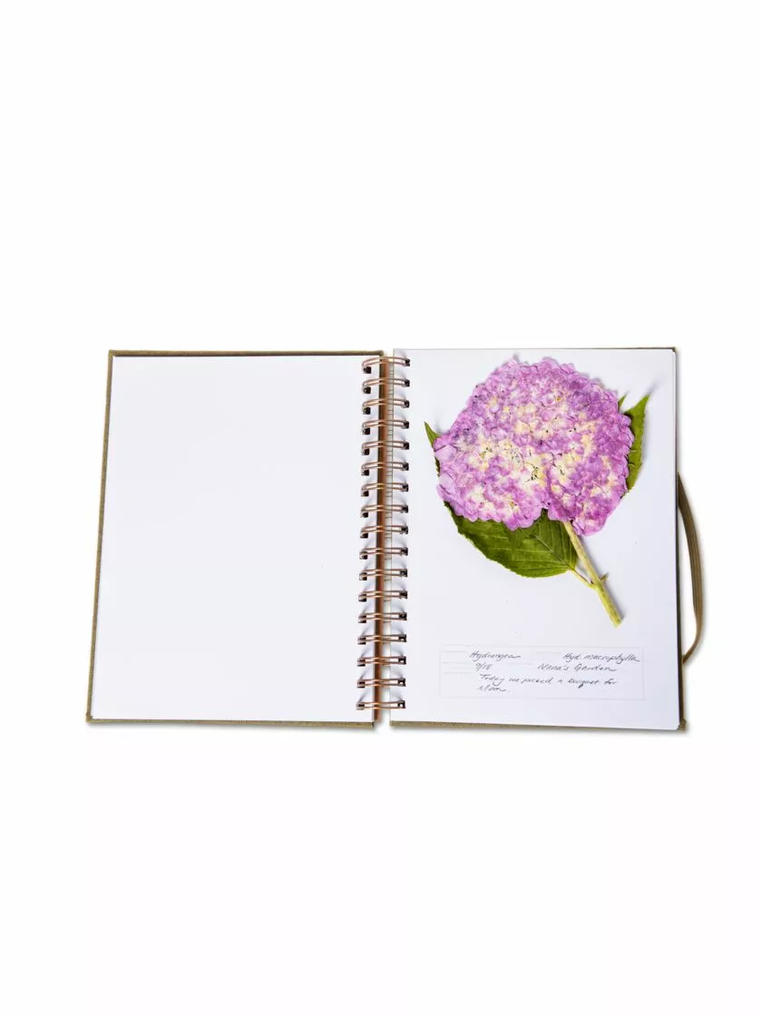 GSC Herbarium Journal 4 GSC Herbarium Journal - Image 2