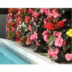 GSC Flower Tower -Plant Supports Shop 3 4 crop 8613624 03V