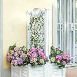 GSC Separate Flower Box With Trellis -Plant Supports Shop 3 4 crop 8613626 10V