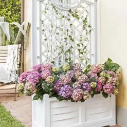 GSC Separate Flower Box With Trellis -Plant Supports Shop 3 4 crop 8613626 13V