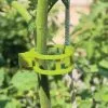 GSC Garden Clips, Set Of 48 -Plant Supports Shop 40 354 07648 tif