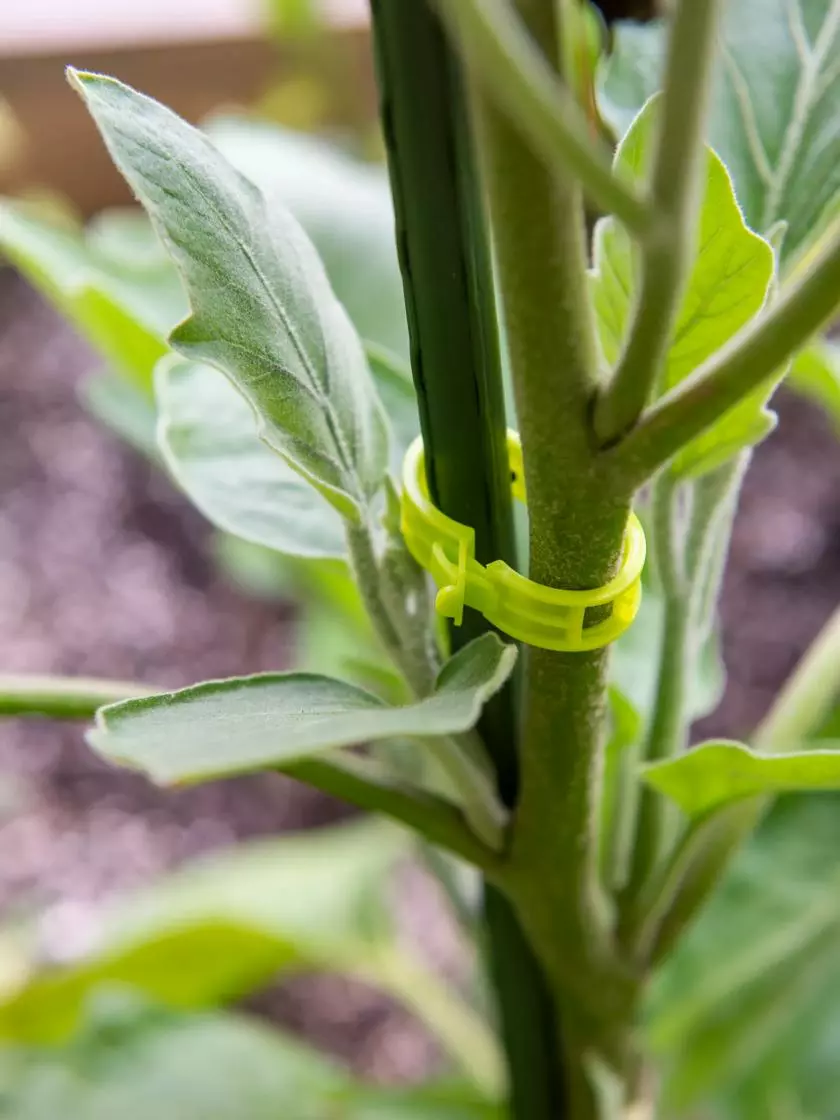 GSC Garden Clips, Set Of 48 4 GSC Garden Clips, Set Of 48 - Image 2