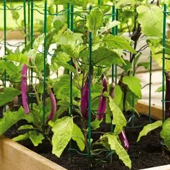 GSC Pepper And Eggplant Stakes, Set Of 3 -Plant Supports Shop 40308 2116 tif