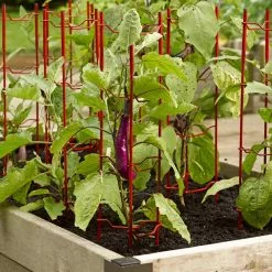 GSC Pepper And Eggplant Stakes, Set Of 3