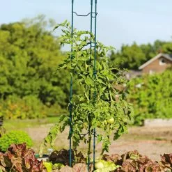 GSC Stacking Tomato Ladders, Set Of 6 -Plant Supports Shop 40309 100 tif